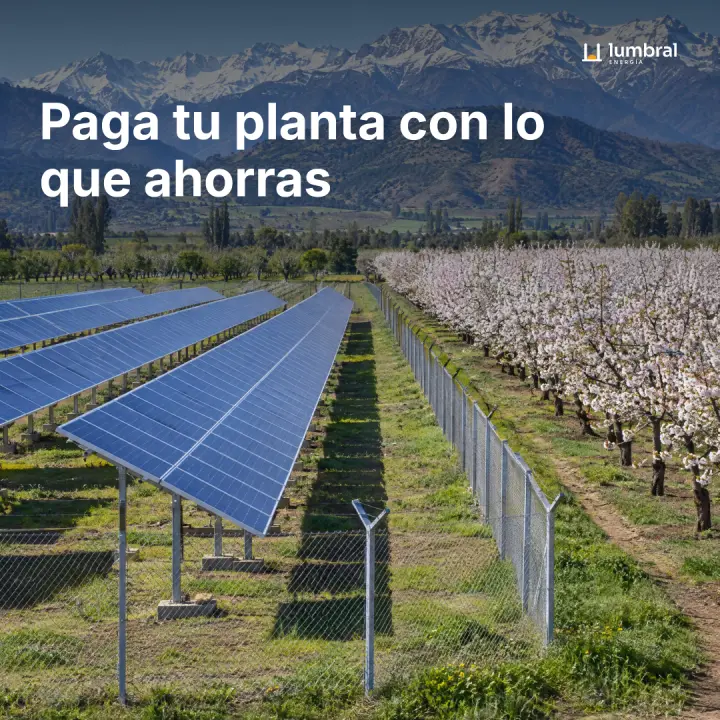 Paga tu planta con lo que ahorras